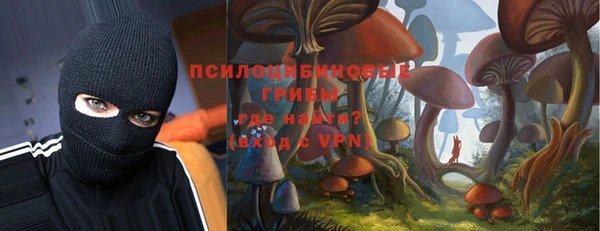 ALPHA PVP Алексин