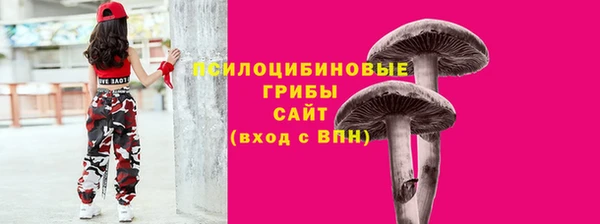 прущие крисы Армянск