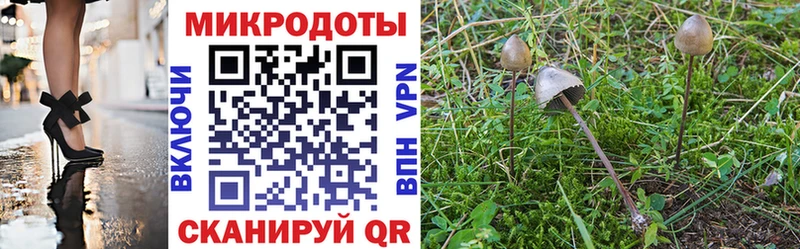 Псилоцибиновые грибы Cubensis  магазин  наркотиков  мега tor  Балтийск 