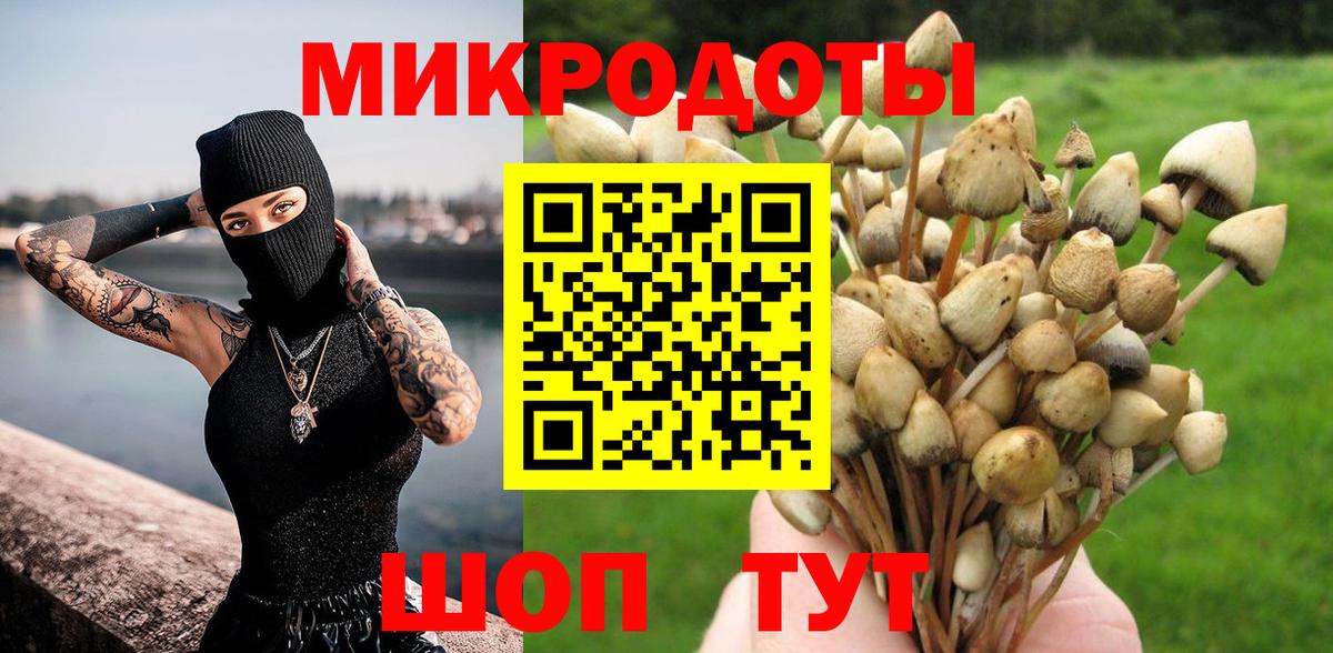 Балтийск  продажа наркотиков  Вход с VPN  Псилоцибиновые грибы ЛСД  Псилоцибиновые грибы Magic Shrooms 