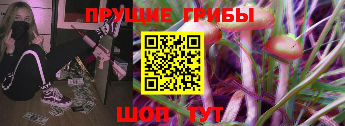 Псилоцибиновые грибы Psilocybine cubensis Балтийск